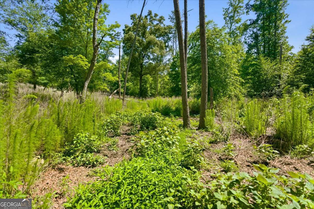 0 Williams Road Se Property Photo 27