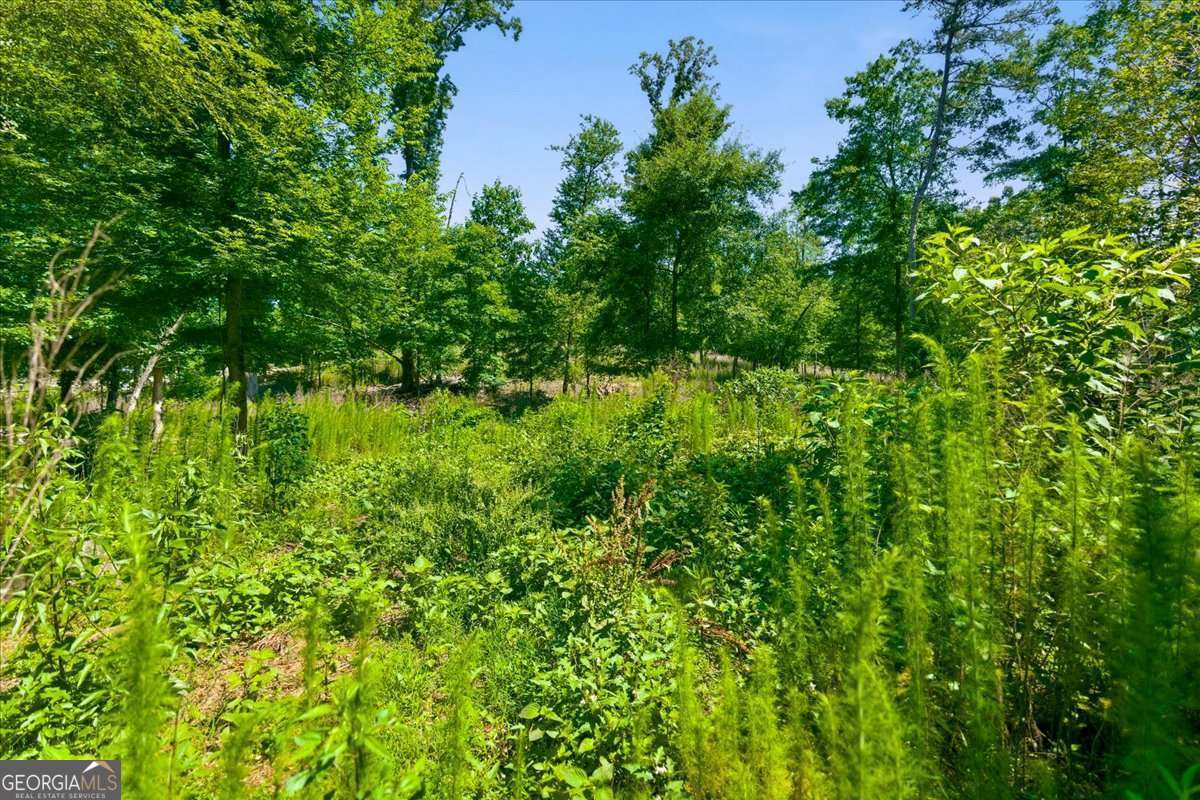 0 Williams Road Se Property Photo 29