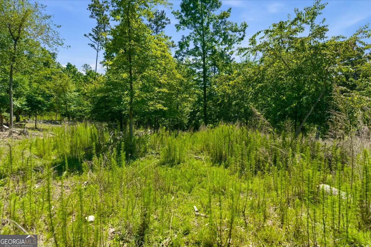 0 Williams Road Se Property Photo 34
