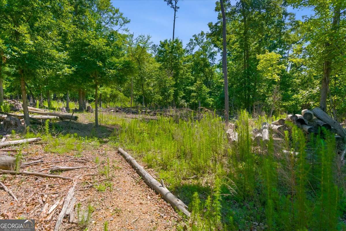 0 Williams Road Se Property Photo 35