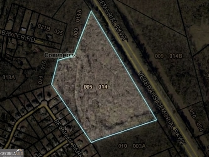 0 Us Hwy 441 Property Photo 1
