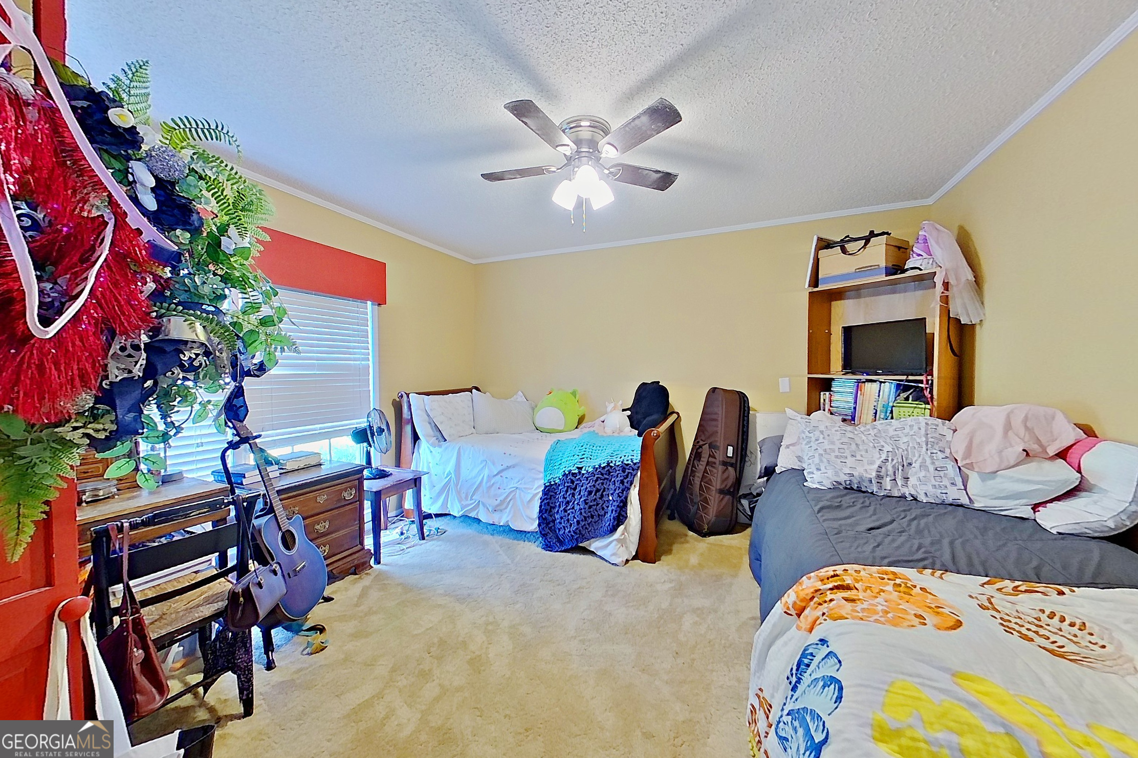 182 Myra Street Property Photo 22
