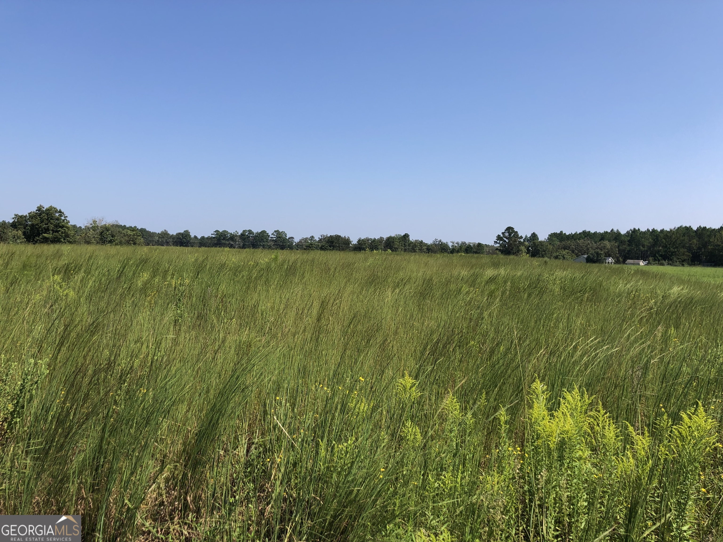 0 Ga Highway 126 Property Photo 1