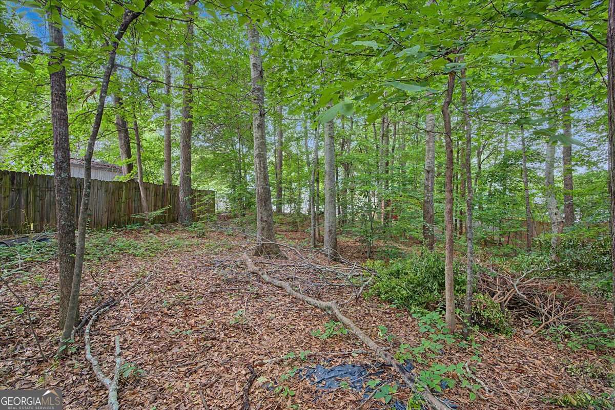 164 Ivey Lake Parkway Property Photo 37