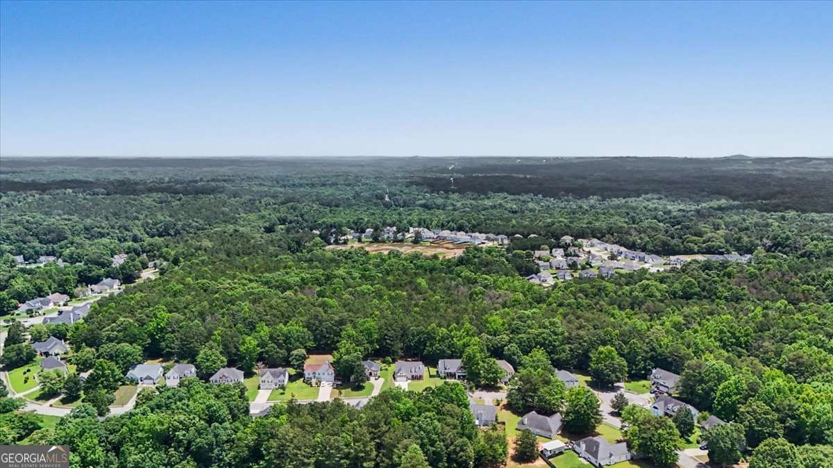 164 Ivey Lake Parkway Property Photo 46