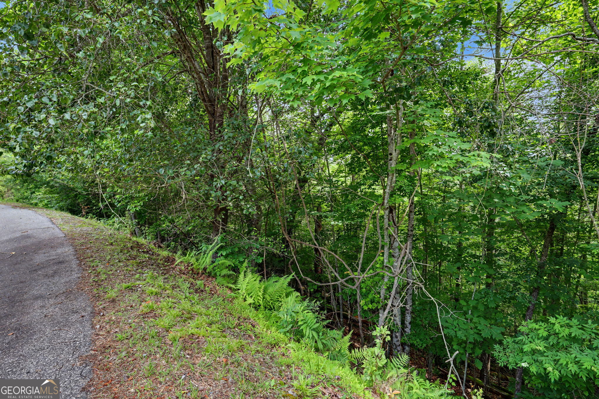 56 Walker Ridge Way Property Photo 21