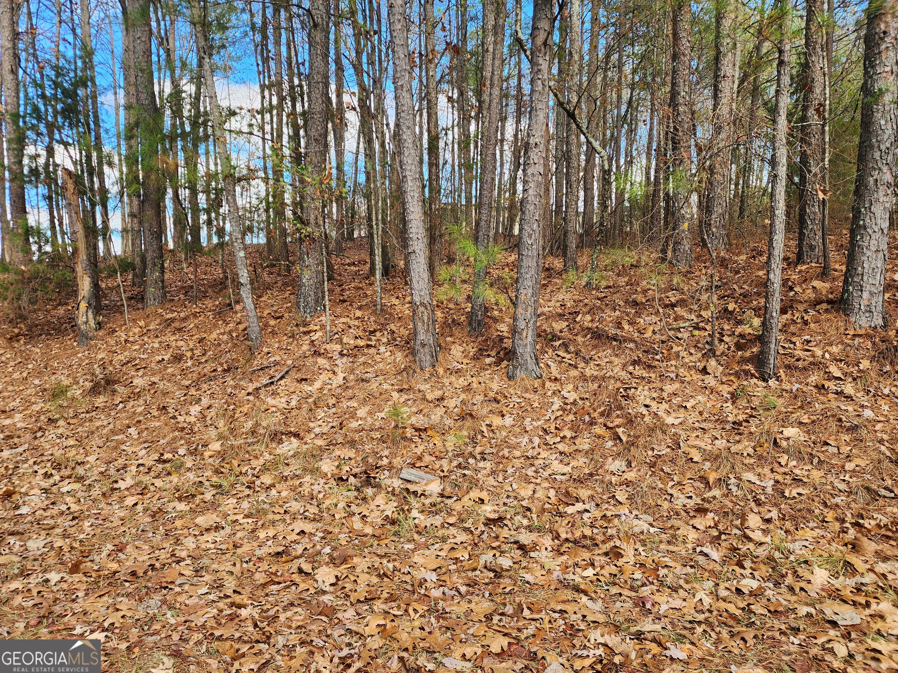 91 Cannon Ridge View Property Photo 1