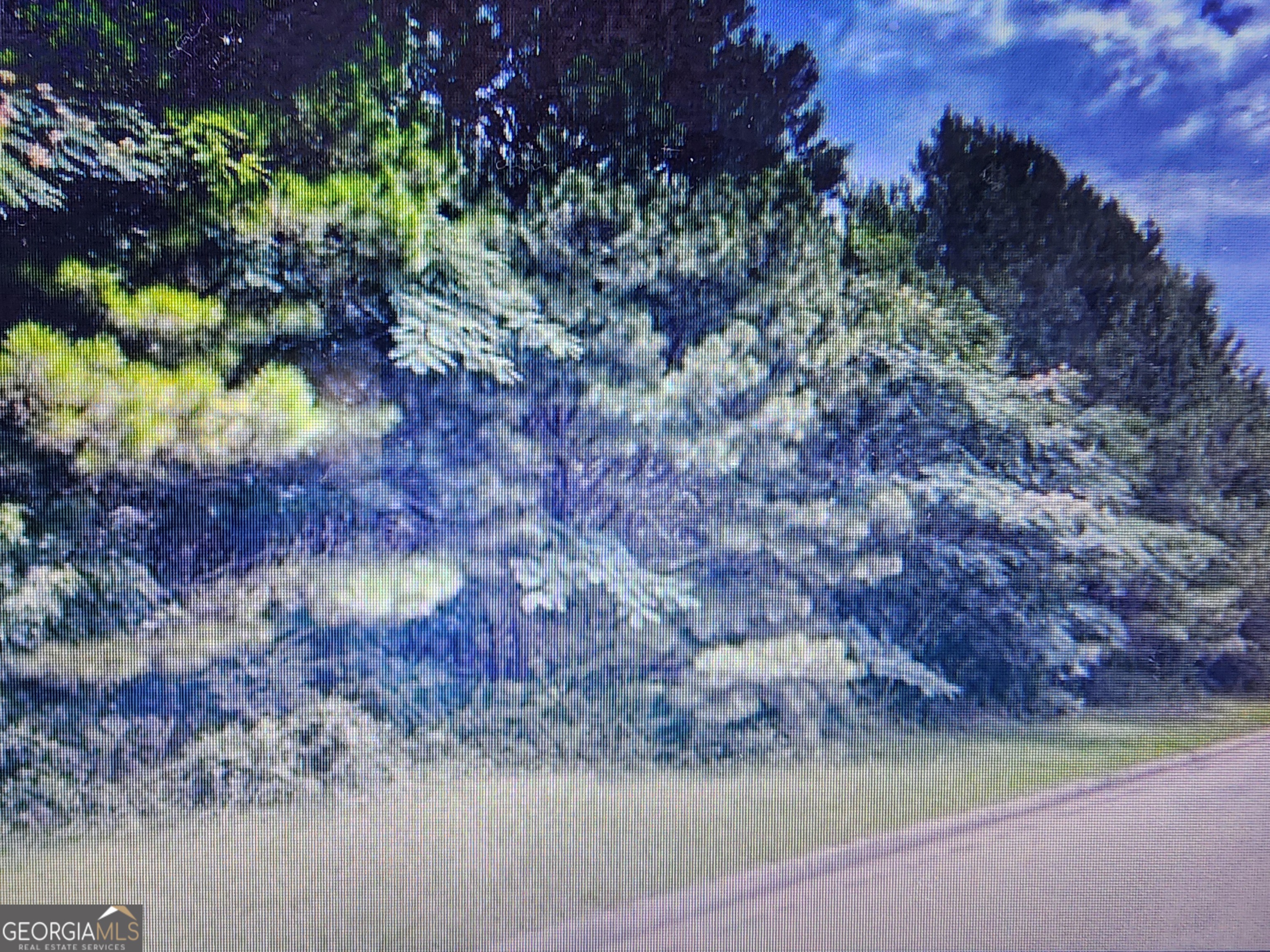 91 Cannon Ridge View Property Photo 3