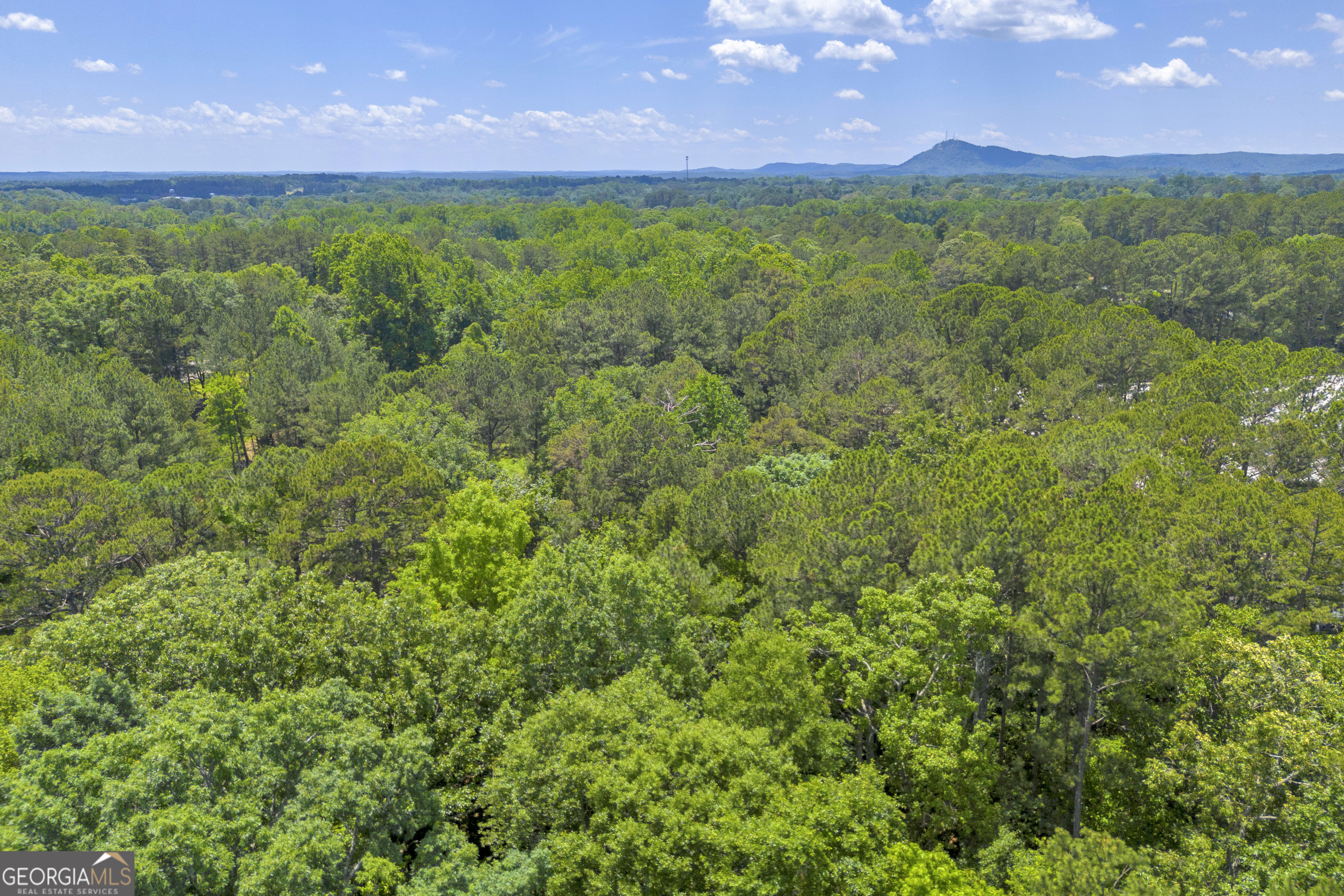 1600 Big A Road Property Photo 8