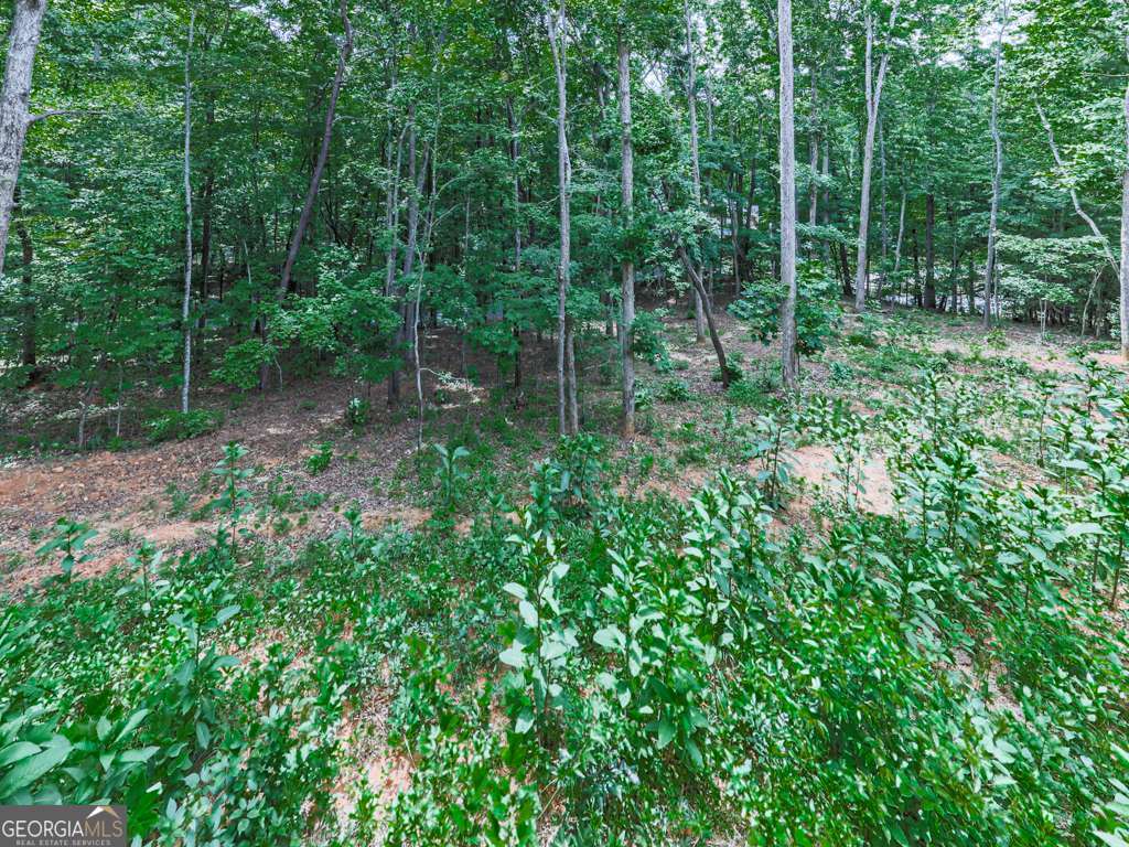 312 Campbell Camp Circle # 70 Property Photo 30