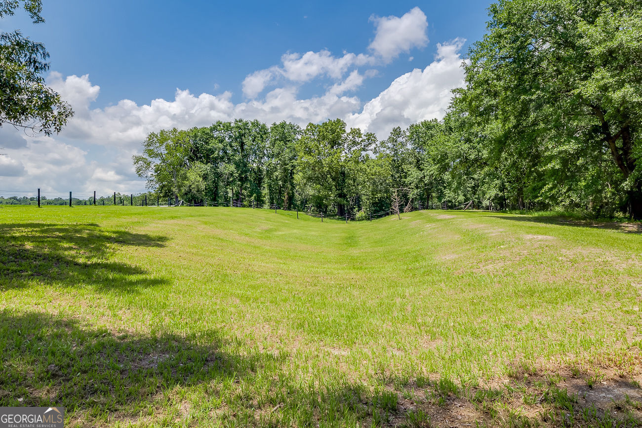 25492 Ga Highway 129 N Property Photo 74