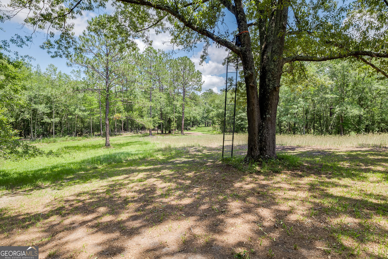 25492 Ga Highway 129 N Property Photo 75