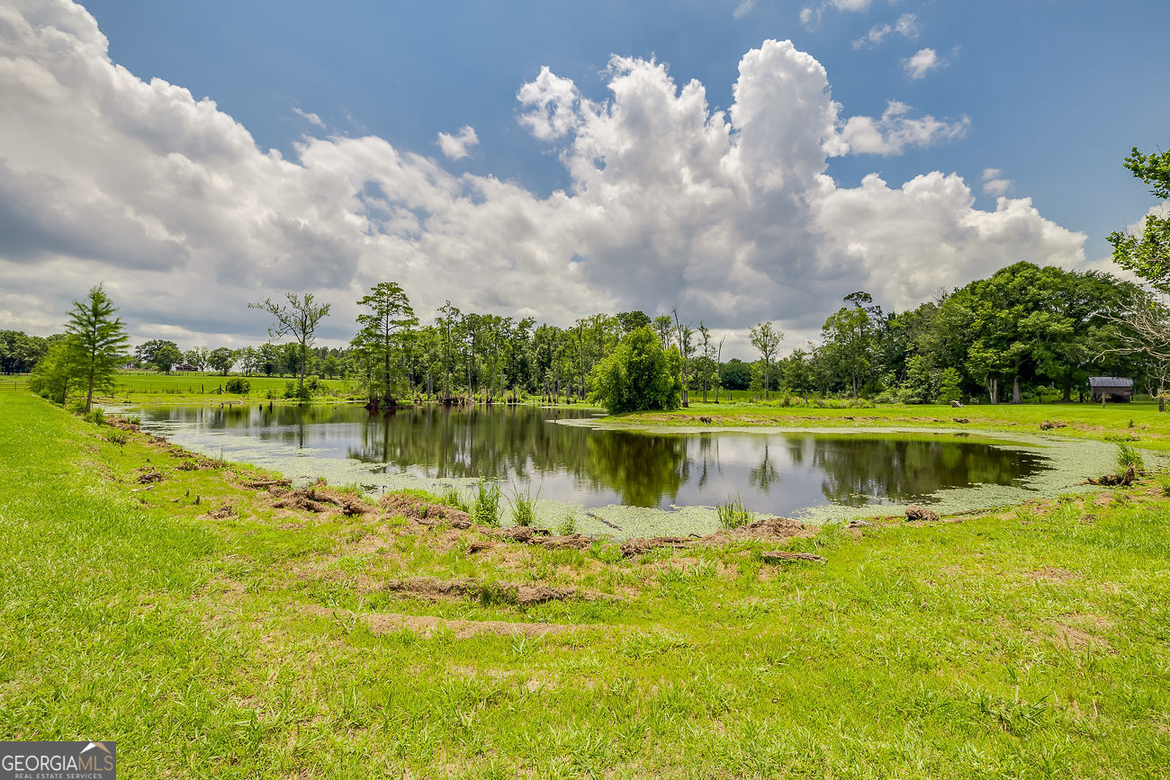 25492 Ga Highway 129 N Property Photo 76