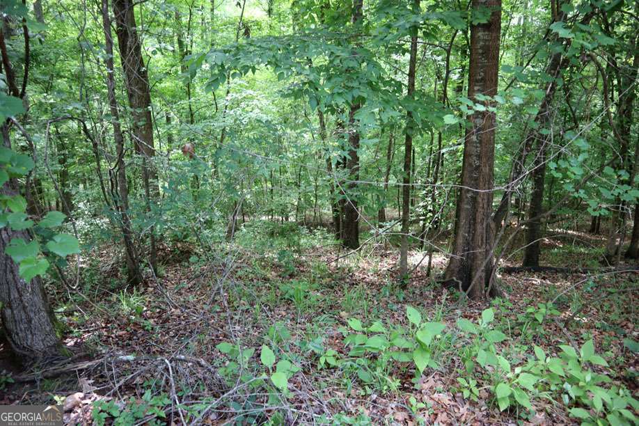 Lt.102 Village Court Sw Property Photo 1