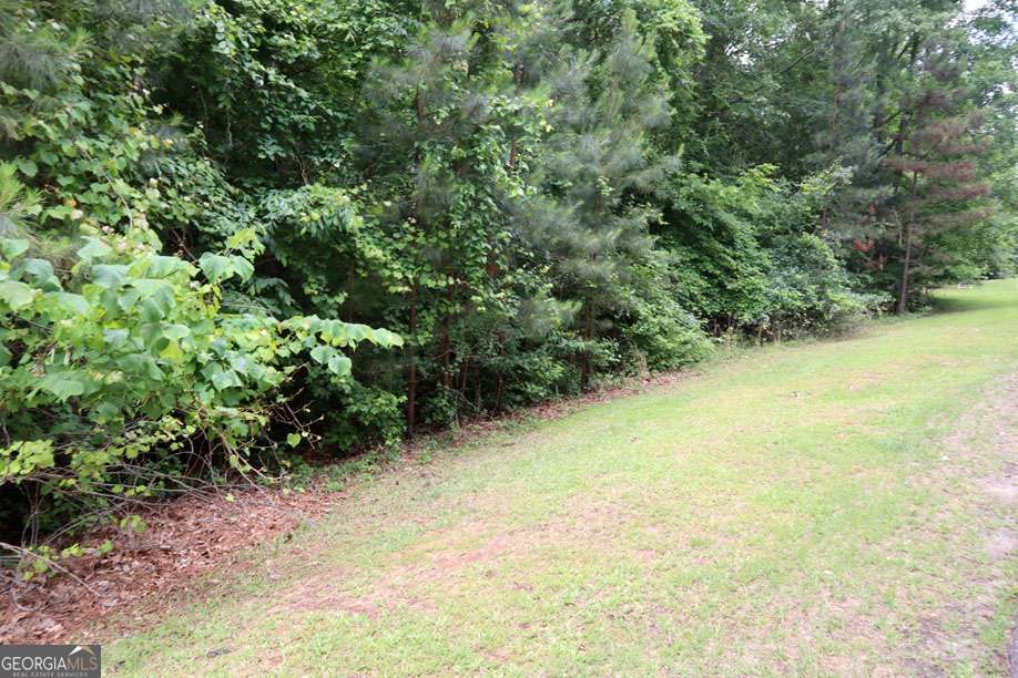 Lt.103 Village Court Sw Property Photo 1