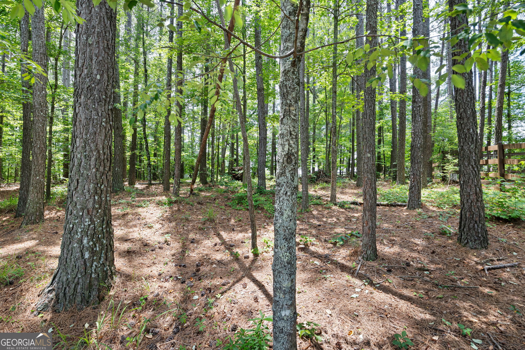 70 Moonlit Trail Property Photo 33