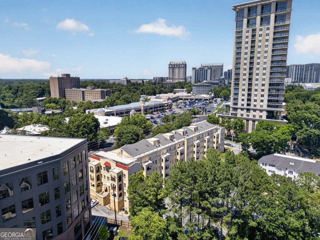 2855 Peachtree Road Ne # 109 Property Photo 52