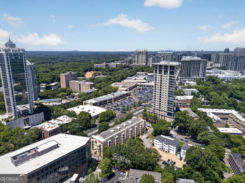 2855 Peachtree Road Ne # 109 Property Photo 53