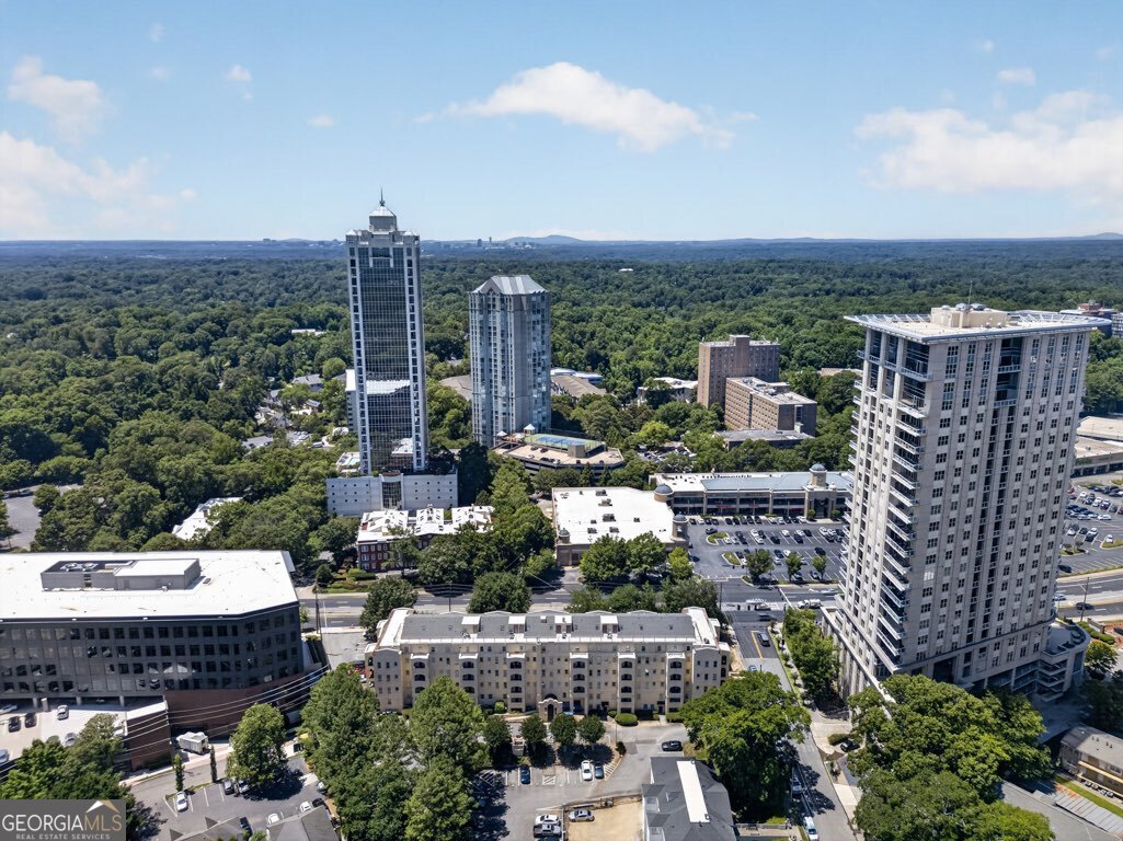 2855 Peachtree Road Ne # 109 Property Photo 54