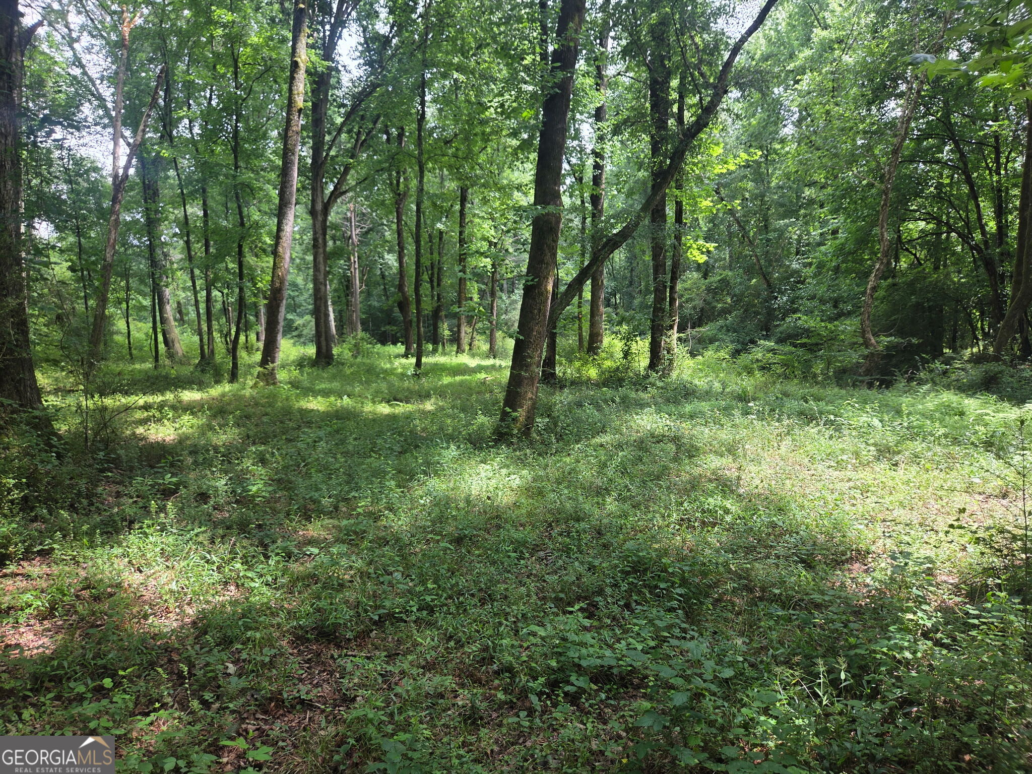 408 Bowen Road Property Photo 31