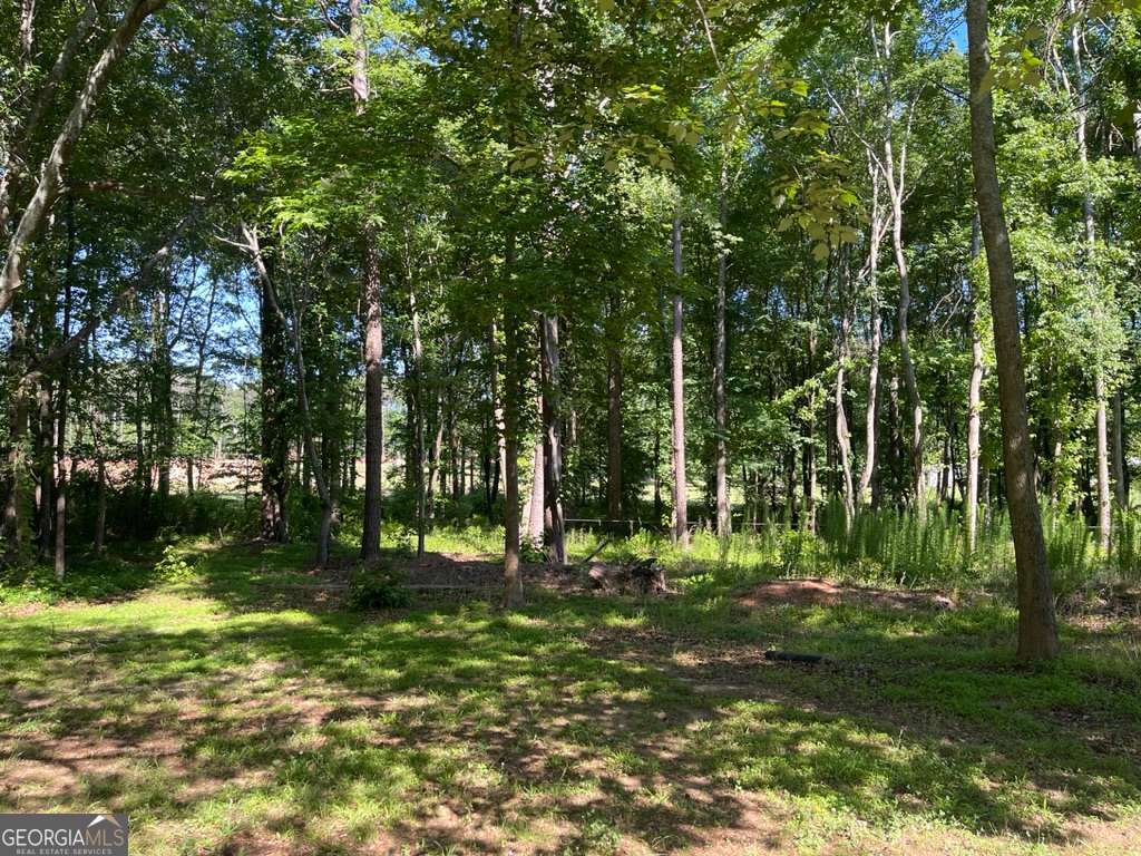 1071 Dials Mill Spur Property Photo 15