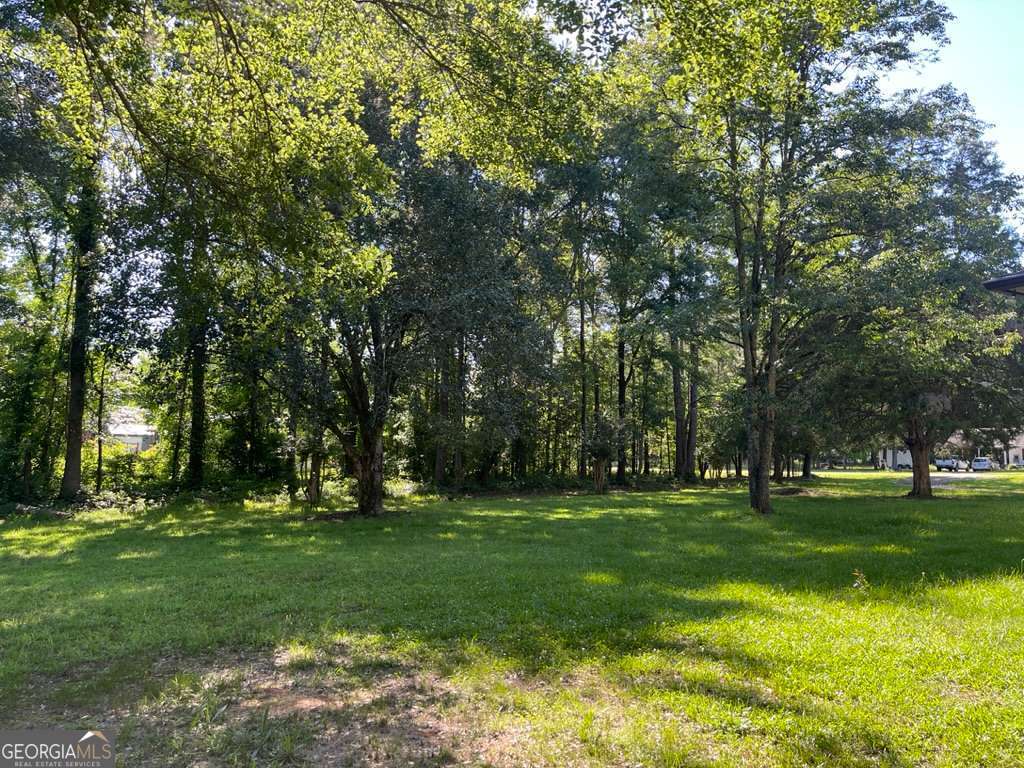 1071 Dials Mill Spur Property Photo 22