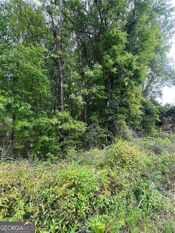 0 S M L K Jr Boulevard Property Photo 4