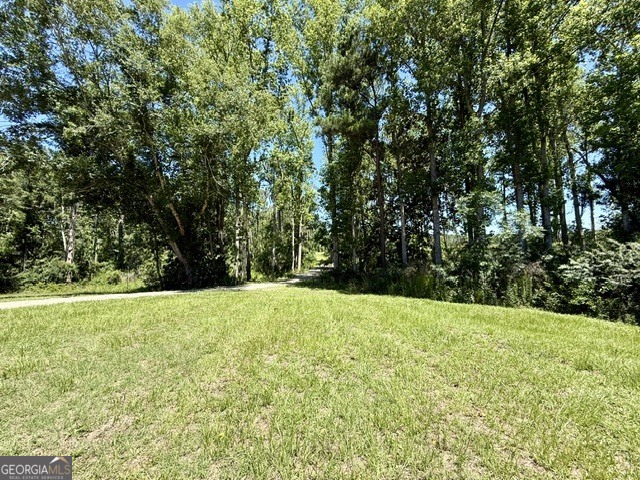 1102 Morgan Road Property Photo 55