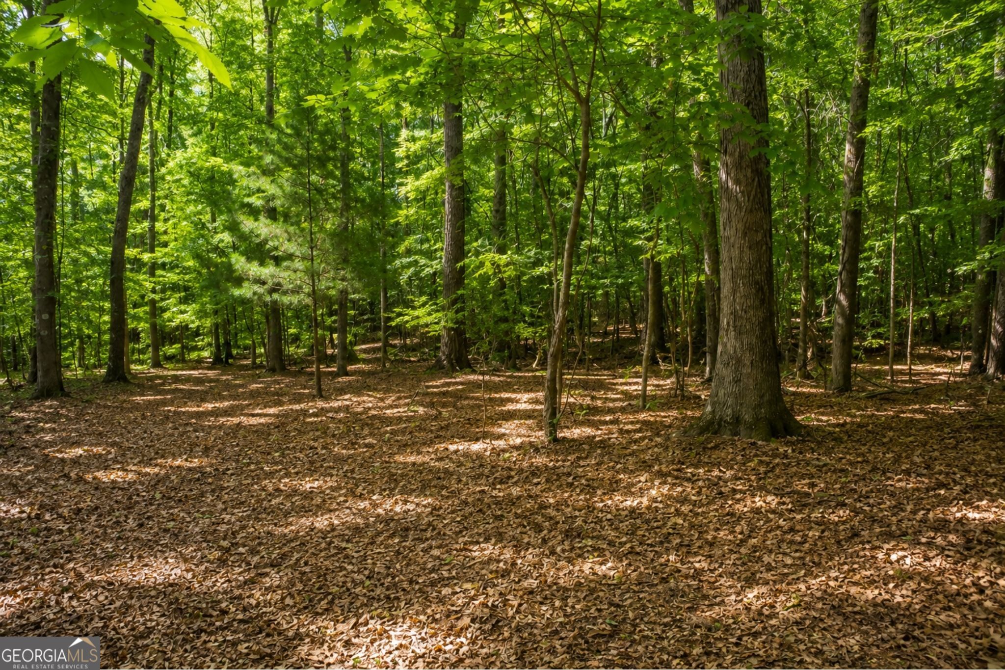 365 Riverridge Trail Property Photo 33