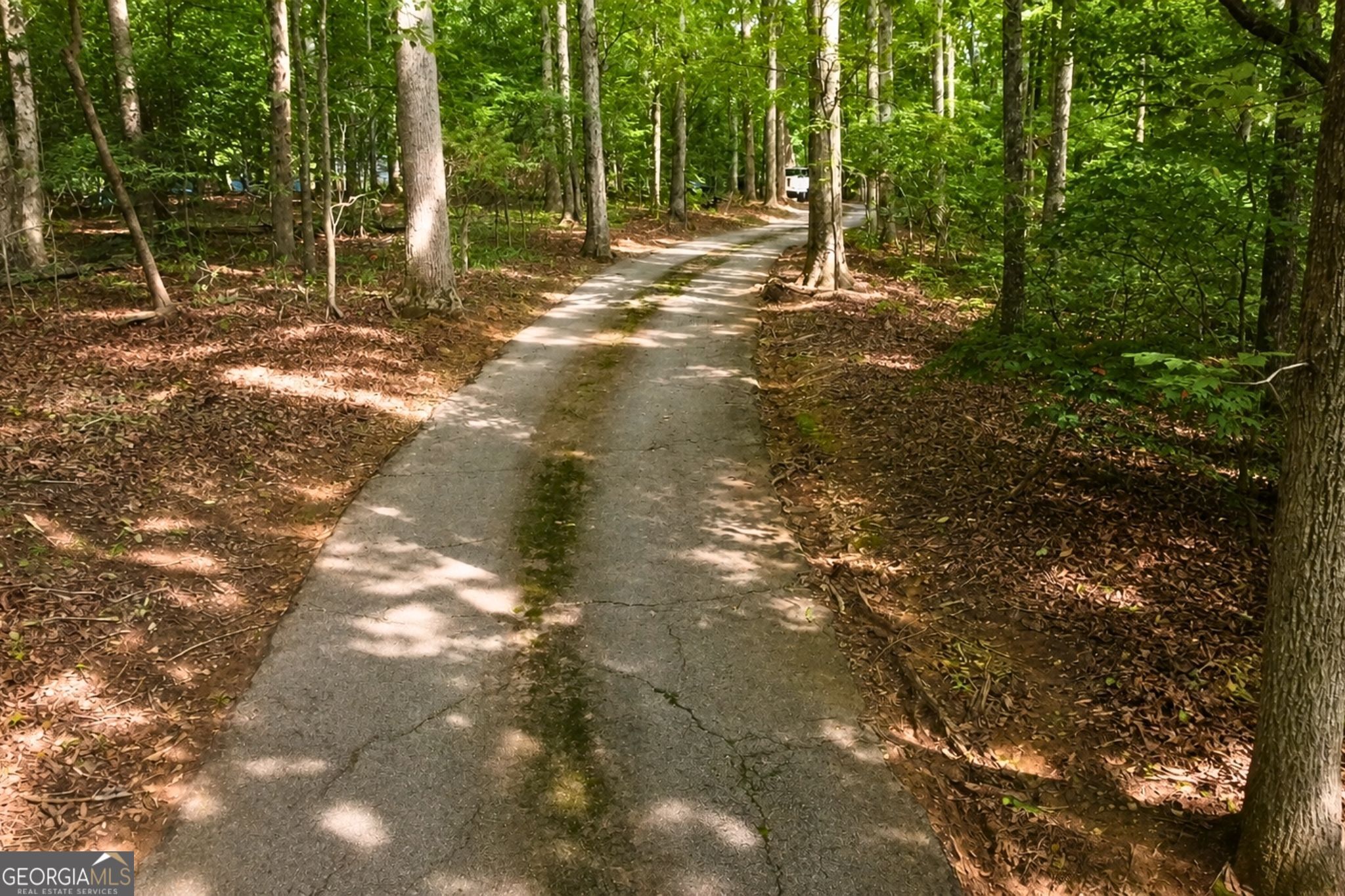 365 Riverridge Trail Property Photo 34