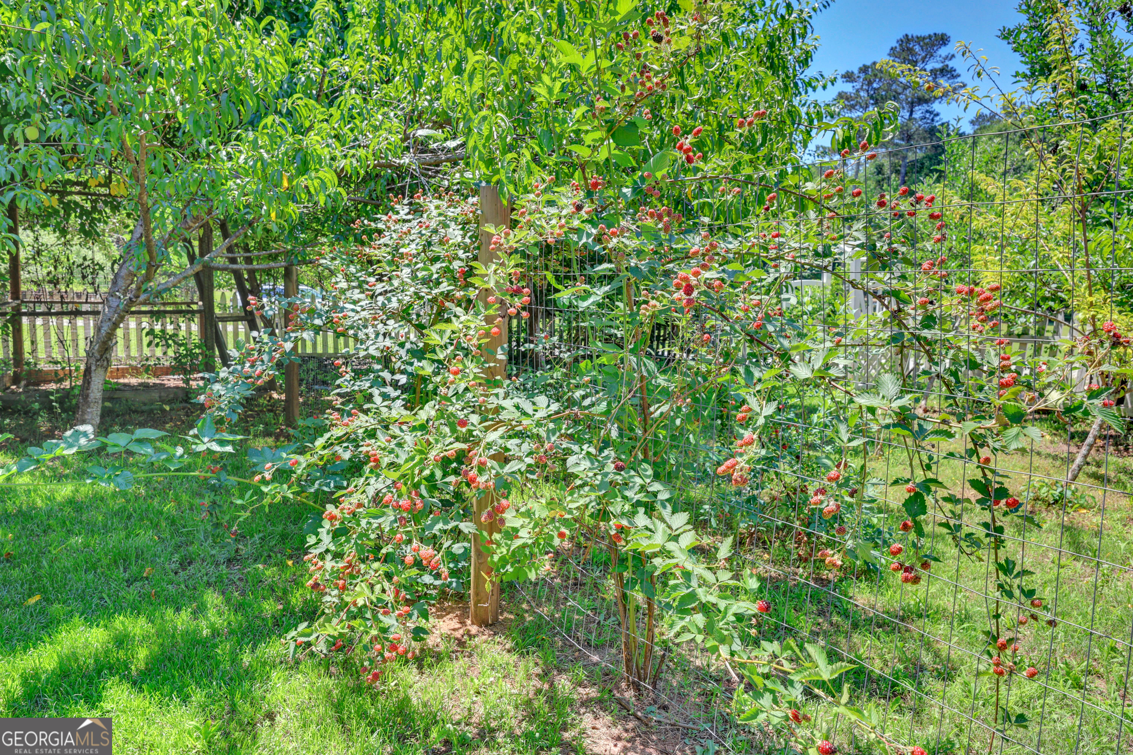 1700 Aqua Road Property Photo 44