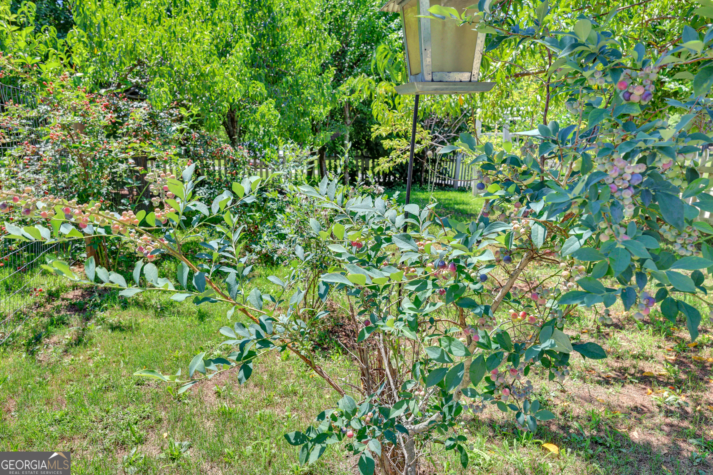 1700 Aqua Road Property Photo 46