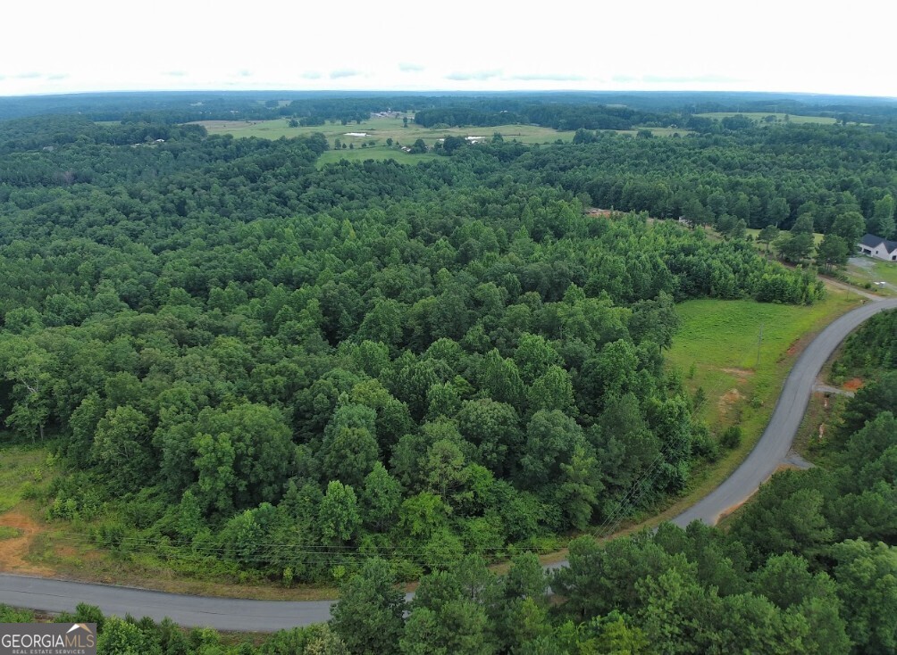 0 County Road 367 Lot 52 Property Photo 6