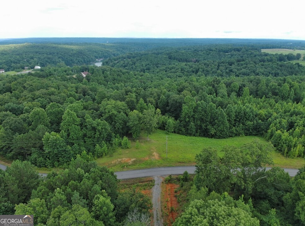 0 County Road 367 Lot 52 Property Photo 7