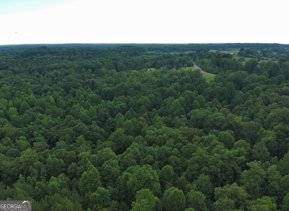 0 County Road 367 Lot 52 Property Photo 8