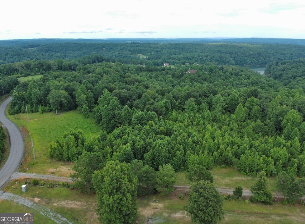 0 County Road 367 Lot 52 Property Photo 9