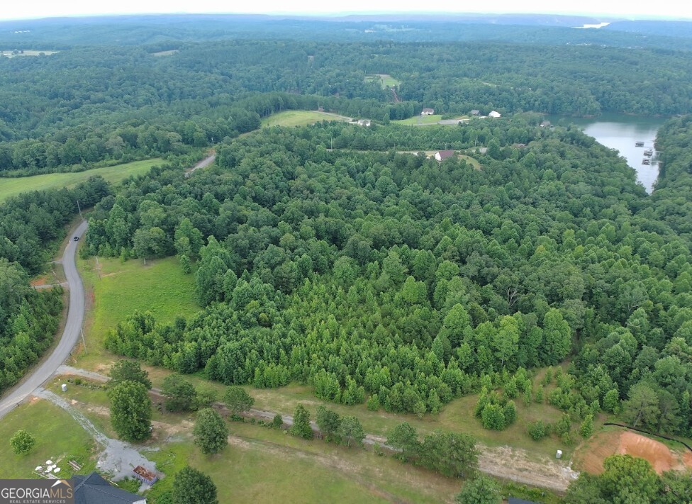 0 County Road 367 Lot 52 Property Photo 11