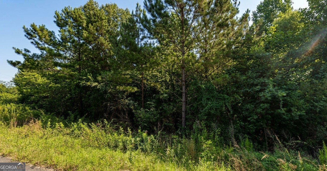 0 County Road 367 Lot 52 Property Photo 14