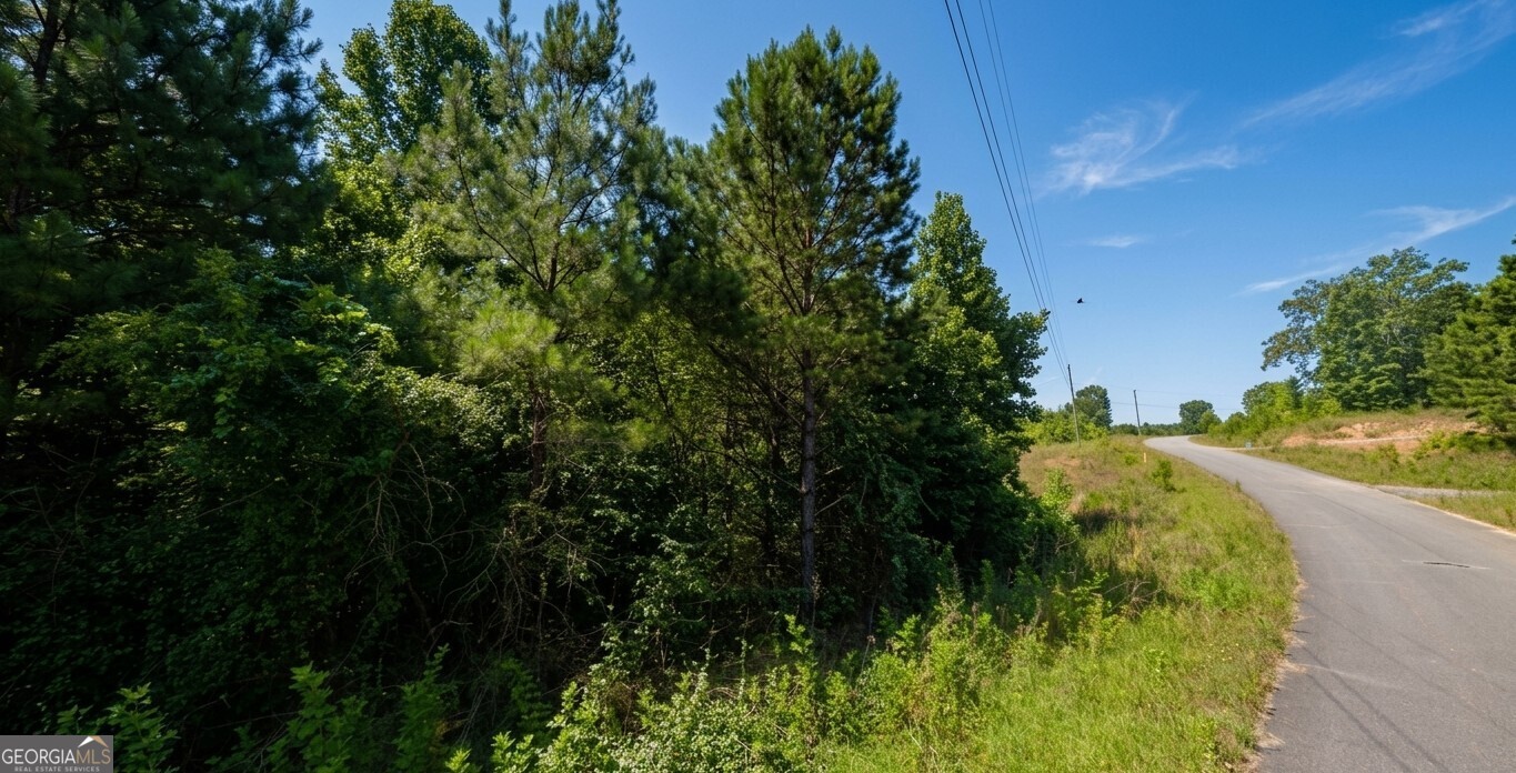0 County Road 367 Lot 52 Property Photo 15