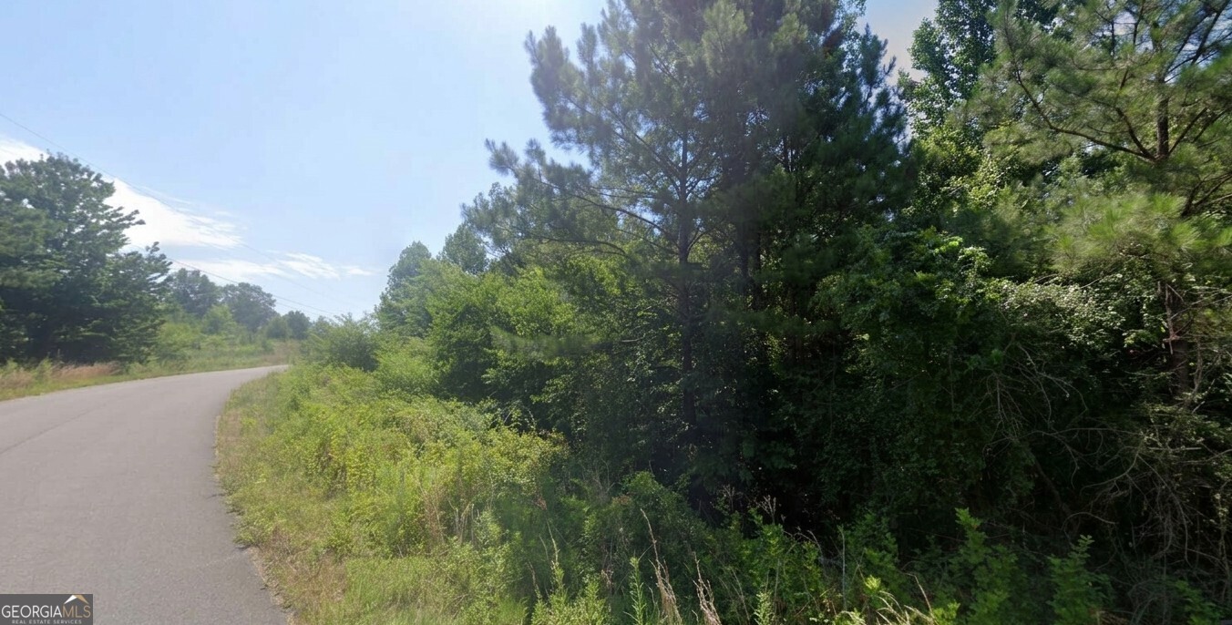 0 County Road 367 Lot 52 Property Photo 16