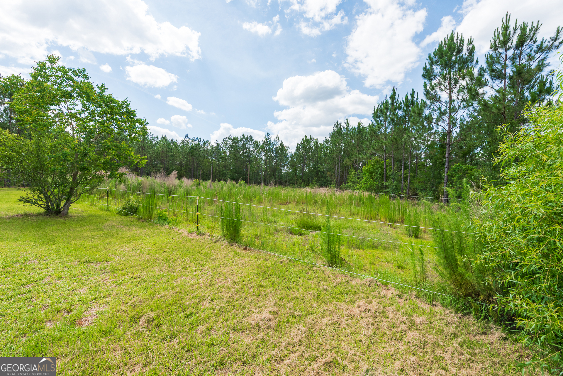 2559 Tabby Road Property Photo 4