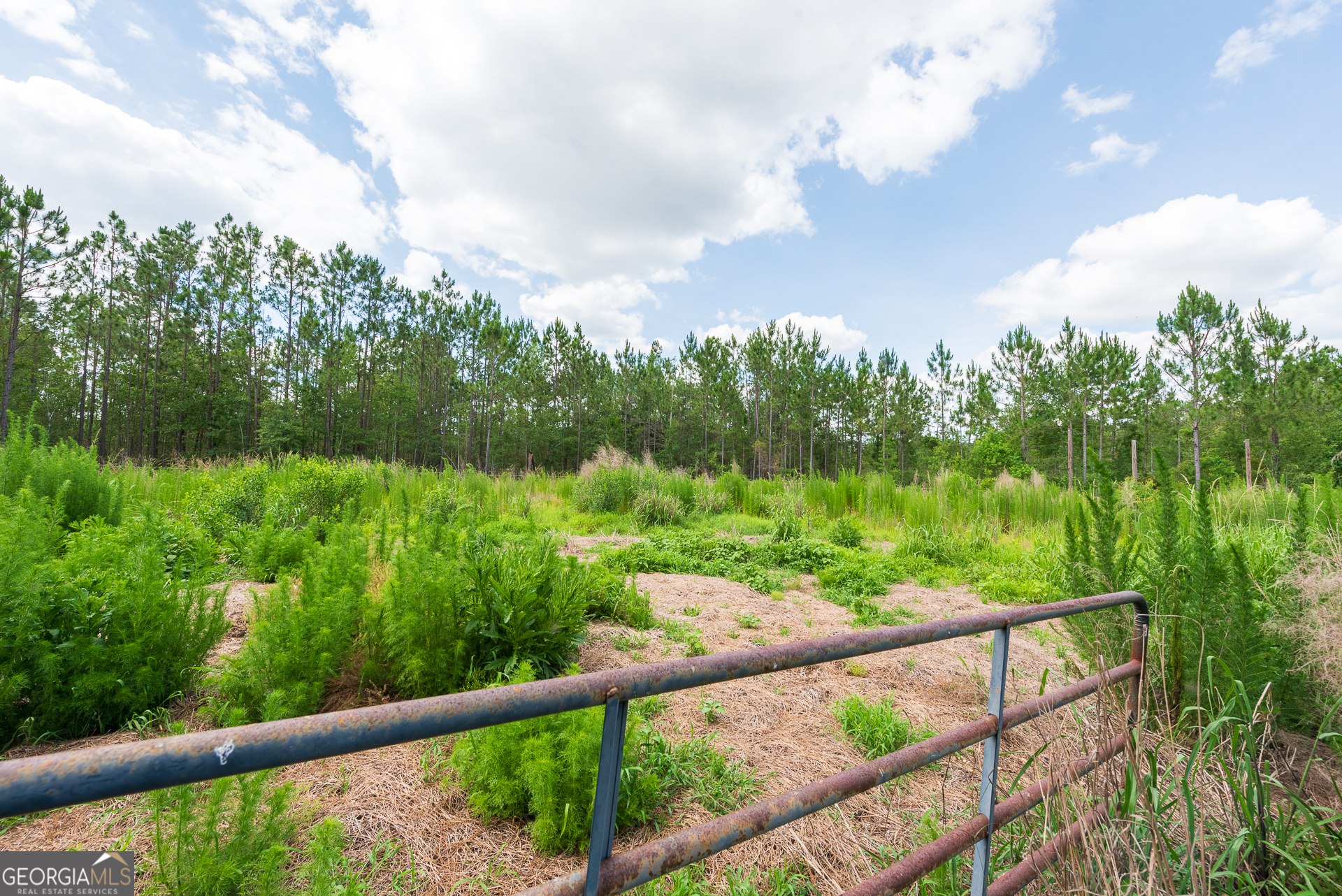 2559 Tabby Road Property Photo 5