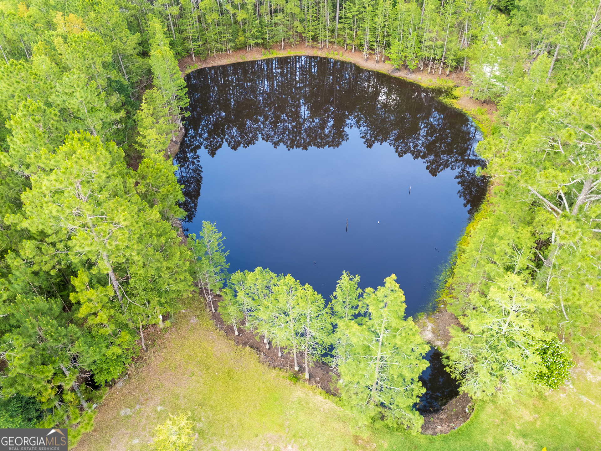 2559 Tabby Road Property Photo 42
