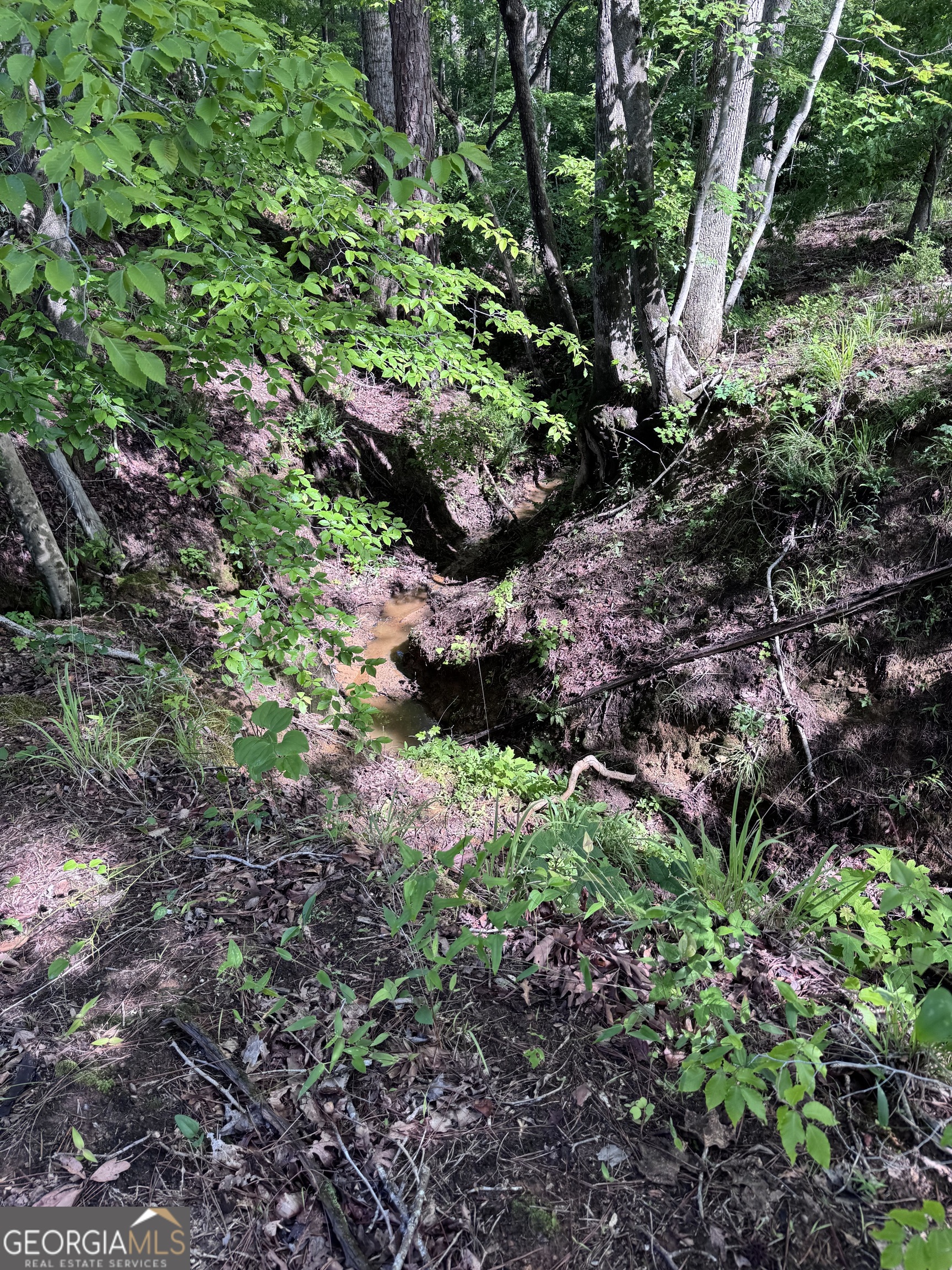 0 Po Biddy Road Property Photo 4