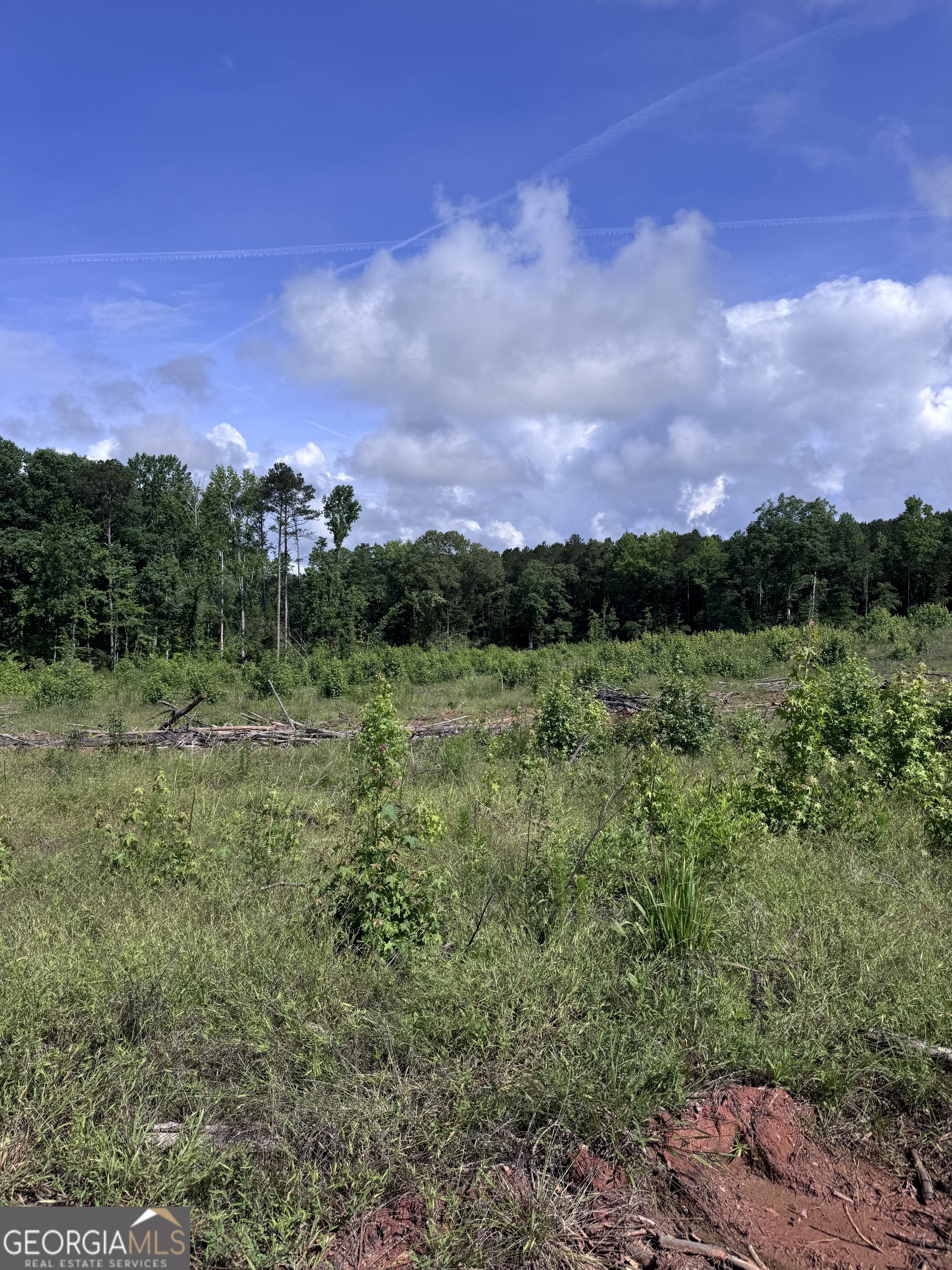 0 Po Biddy Road Property Photo 6