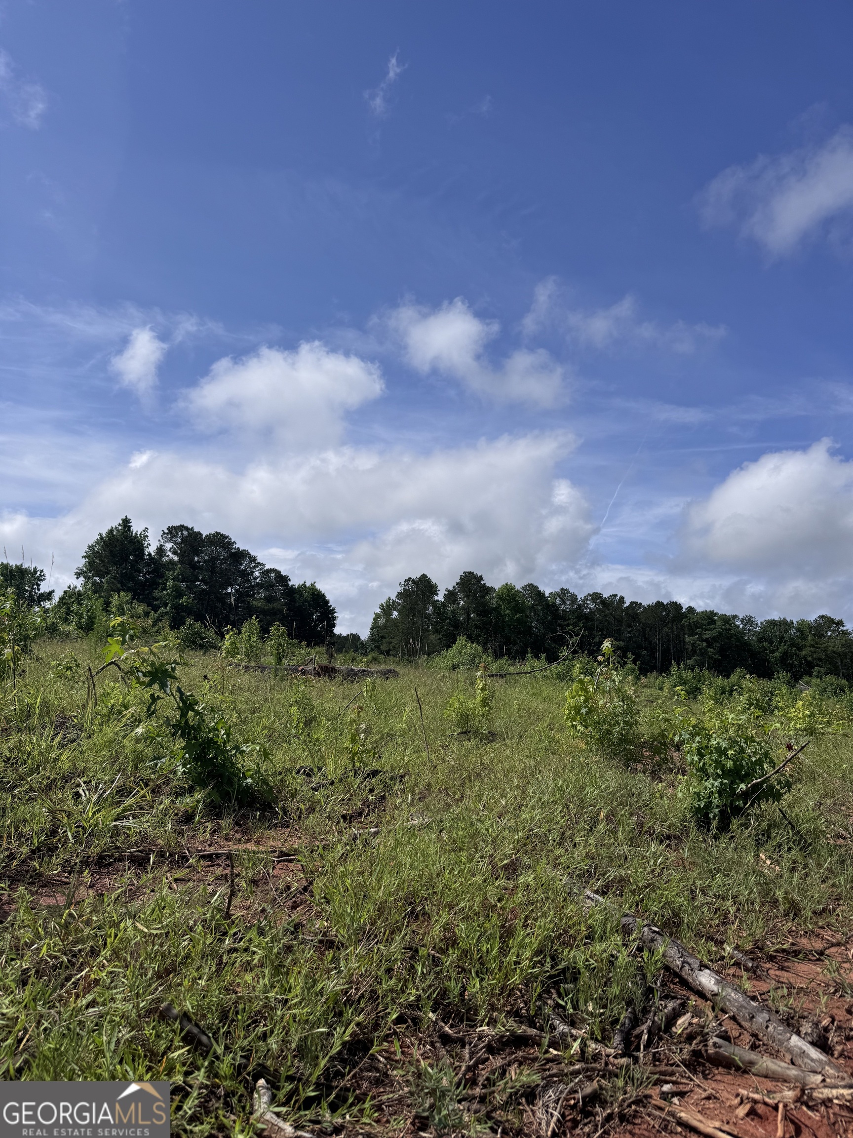 0 Po Biddy Road Property Photo 7