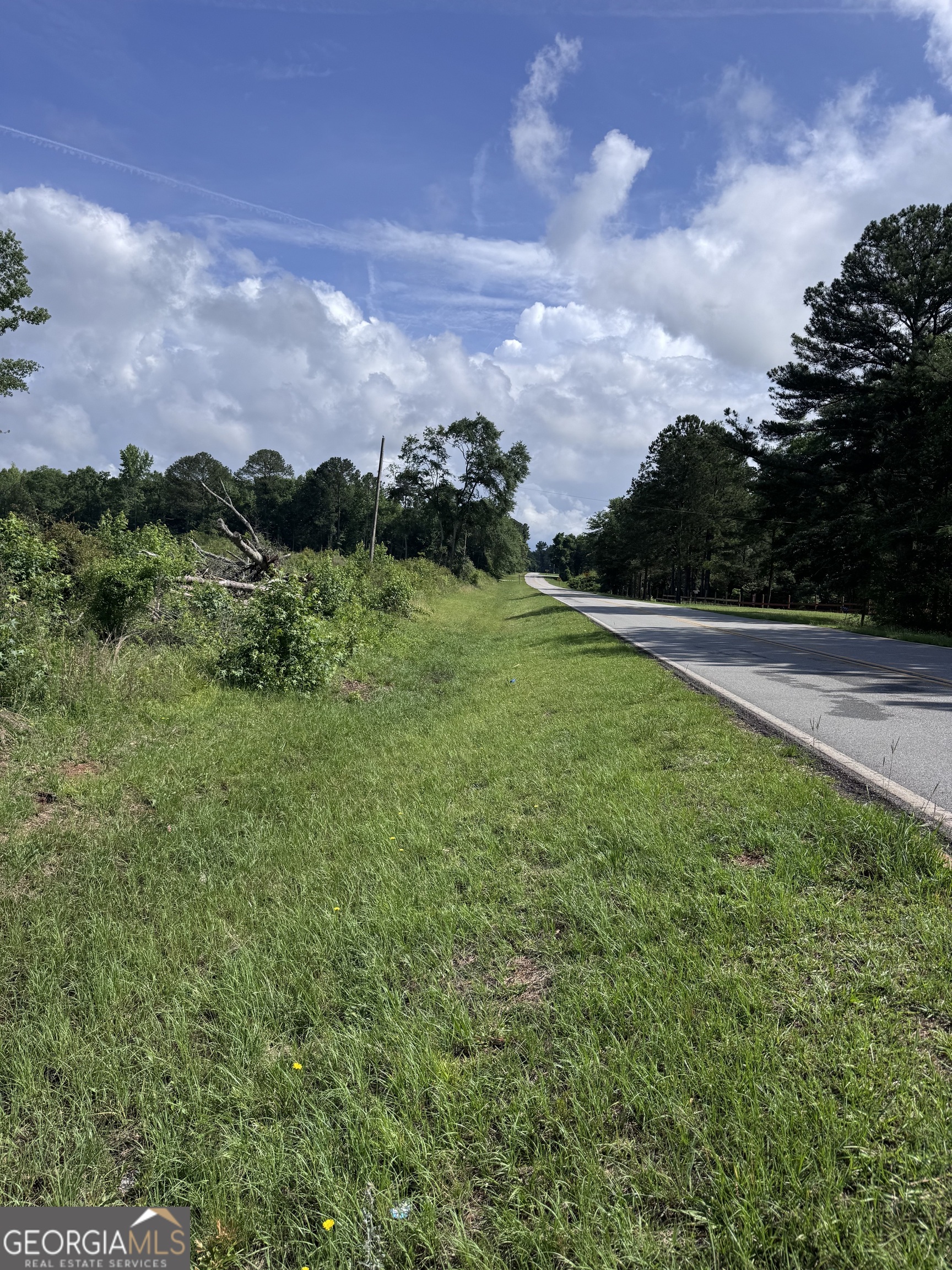 0 Po Biddy Road Property Photo 8
