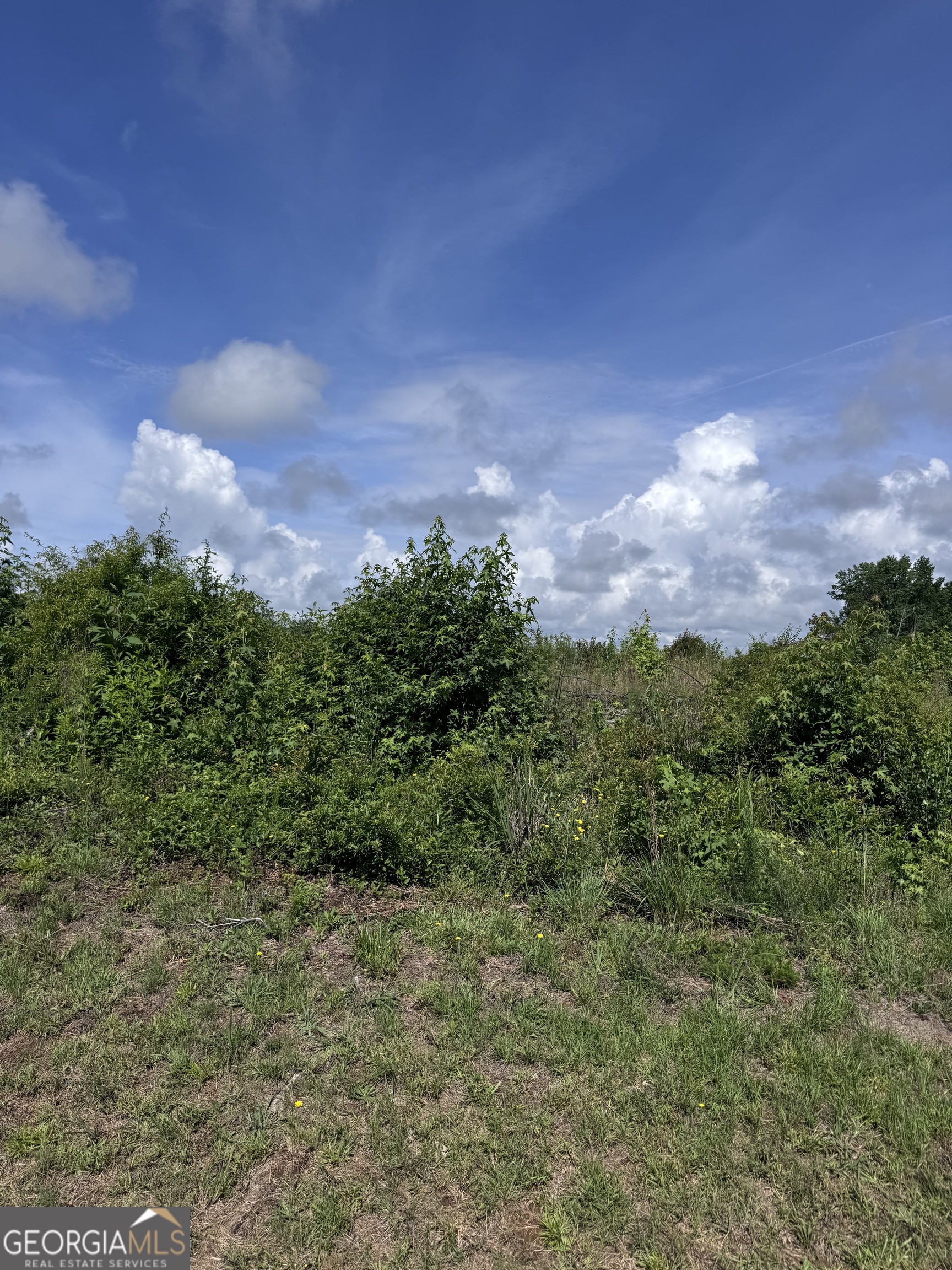 0 Po Biddy Road Property Photo 10