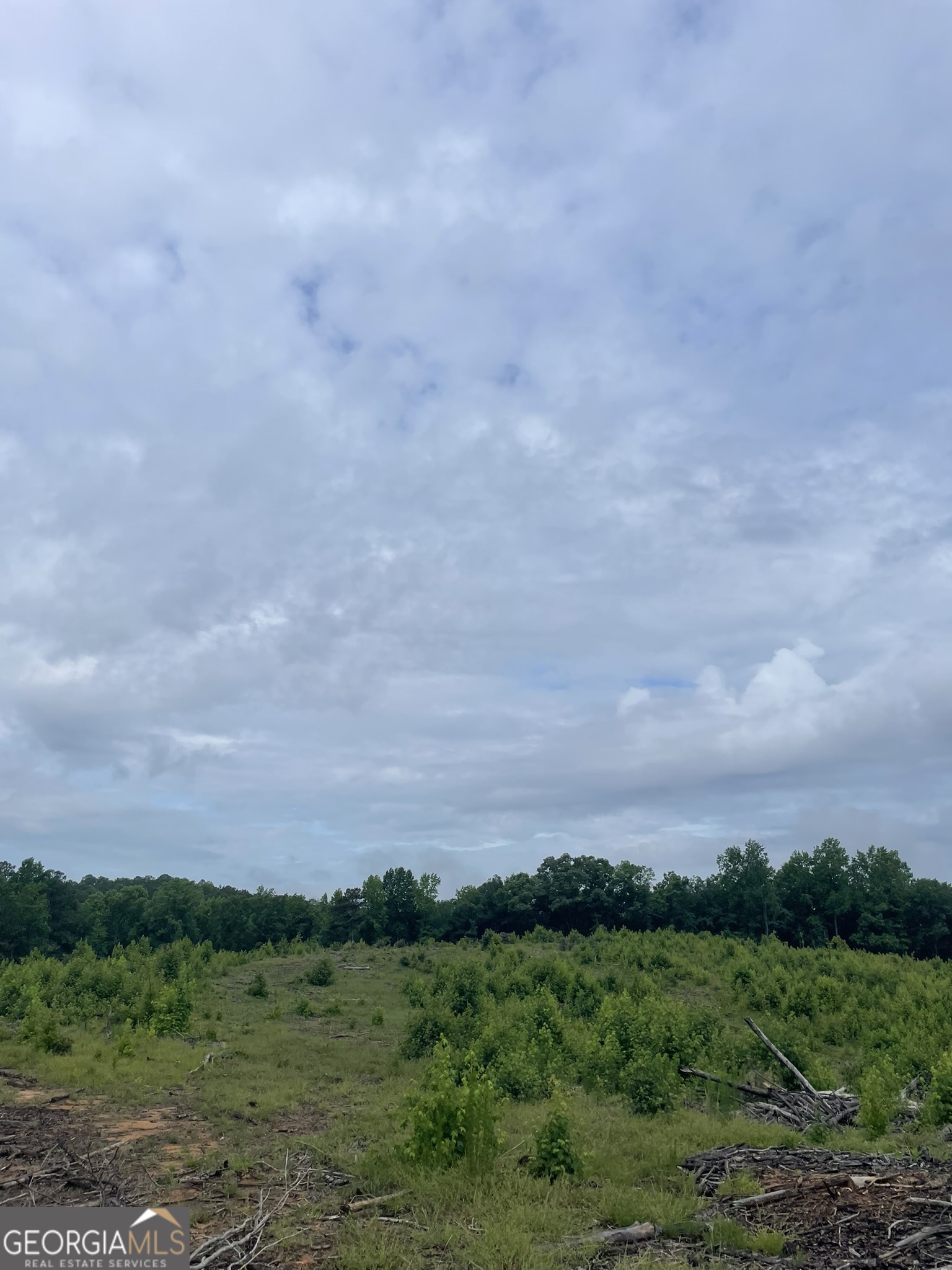 0 Po Biddy Road Property Photo 14
