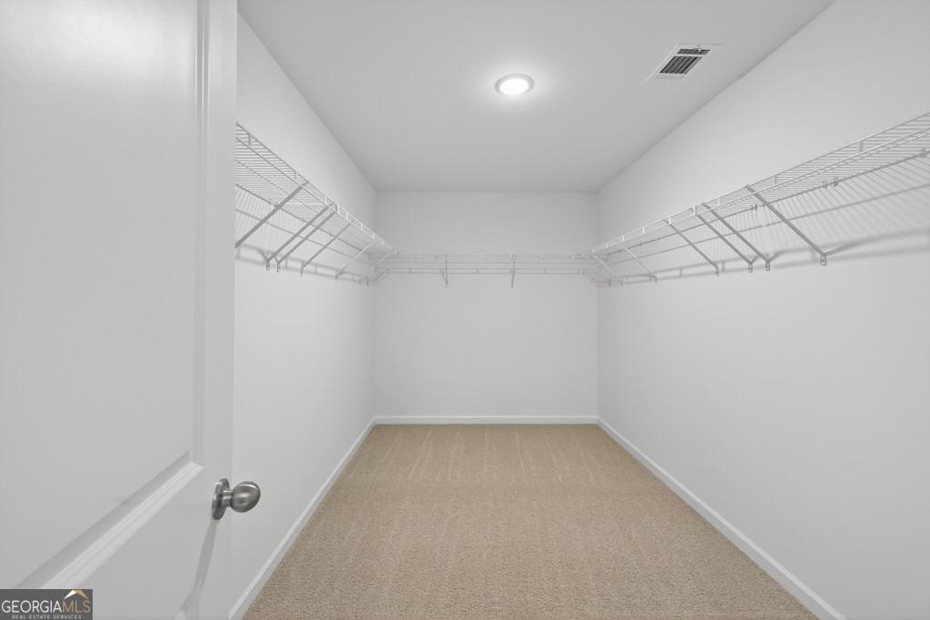 159 Windsor Park Court Property Photo 37
